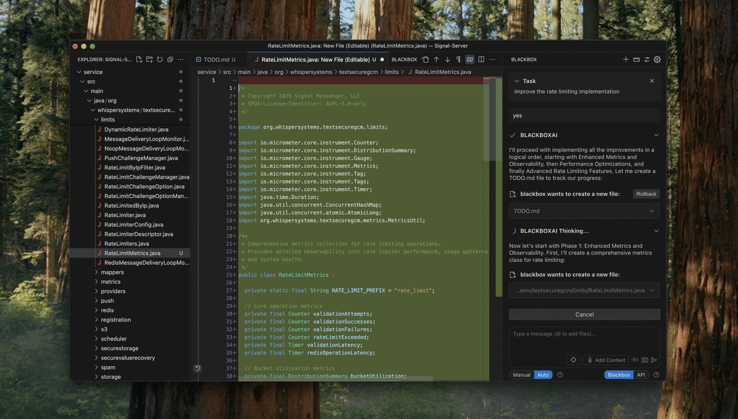 Blackbox AI Interface